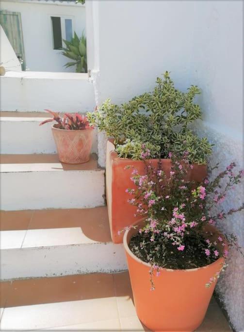 Cozy Apartment With Private Courtyard Barcarena Extérieur photo