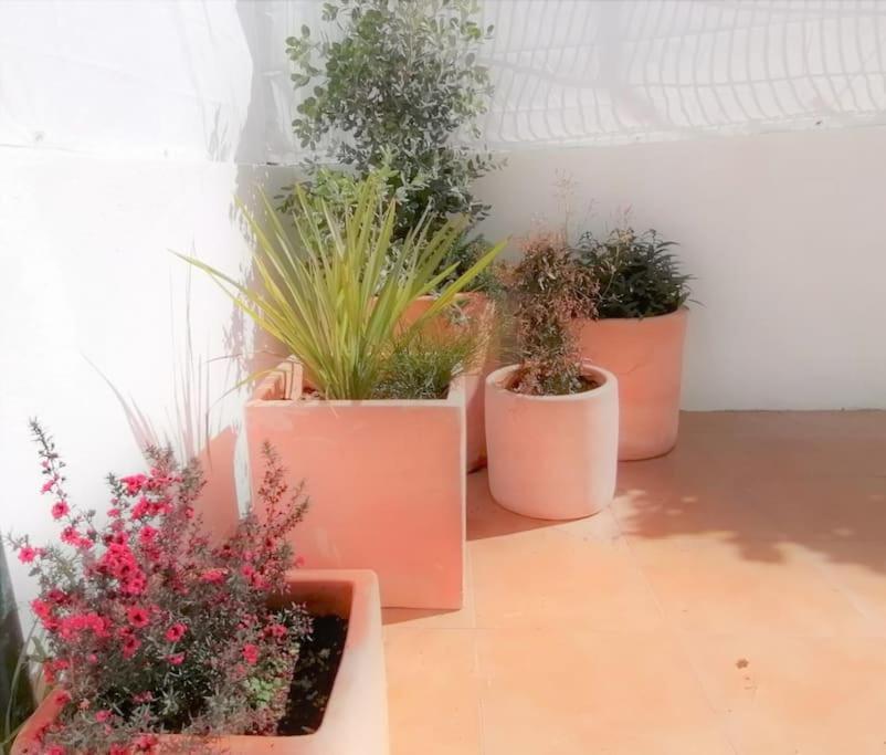 Cozy Apartment With Private Courtyard Barcarena Extérieur photo